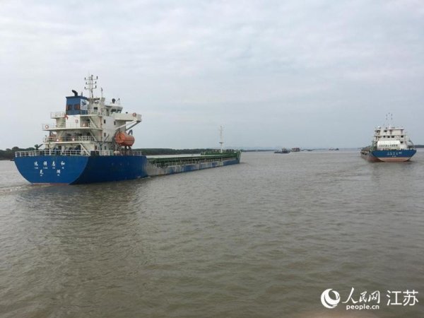 天盈配资 青春华章｜长江南京段再现江豚逐浪戏水